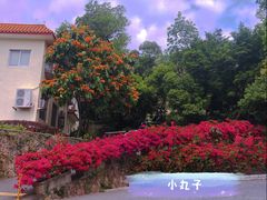-深圳仙湖植物园