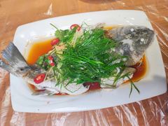 -海胆公主南澳岛美食海鲜