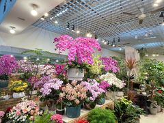 -双季花艺园艺市场(浦东店)