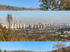 -镇江市南山风景名胜区竹林景区