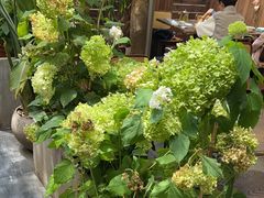 -小喜客·云南特色菜(纳西庭院店)
