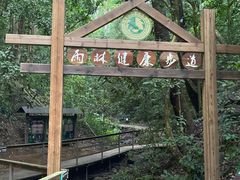 -西双版纳原始森林公园