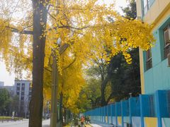 -四川大学(望江校区)