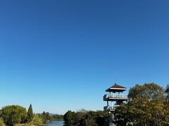 -苏州太湖国家湿地公园