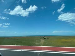 -青海湖国家重点风景名胜区