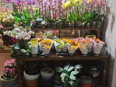 -双季花艺园艺市场(浦东店)