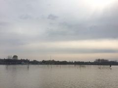 -洪泽湖湾