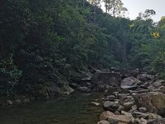 -广州白江湖森林公园