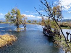 -洱海月湿地公园