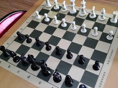 -常青藤国际象棋(新奥店)