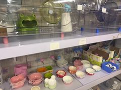 -钓仓鼠(洋桥北里小区店)