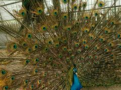 -上海多利农业发展有限公司