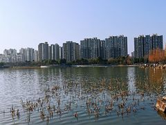 -南翔镇银翔湖公园