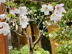 -龙华寺