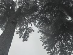 -圣莲山风景区