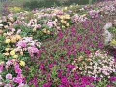-沂蒙山旅游区云蒙景区(蒙山国家森林公园)