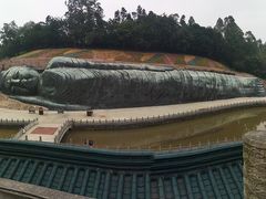 -三水森林公园