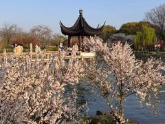 -苏州上方山国家森林公园
