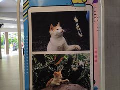 -广州兰圃