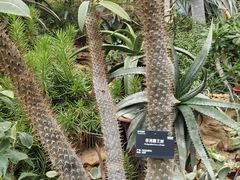 -国家植物园南园