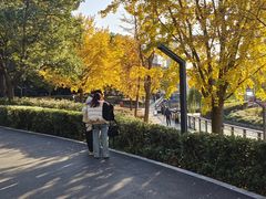 -苏州河梦清园环保主题公园