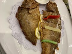 -骏莱海鲜鱼港(五角场店)