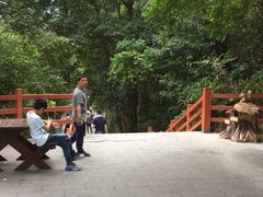 -银瓶嘴森林公园