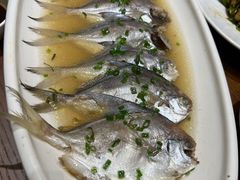 -苏浙徽·农家大院(开发区星湖101店)