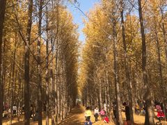 -汉景帝阳陵博物院