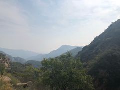 -大岭沟猕猴桃谷风景区