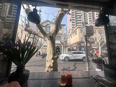 -Apollo·西班牙小酒馆(安福路店)