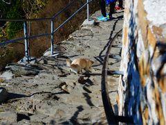 -黄崖关长城风景区-售票大厅