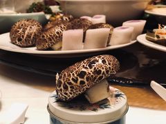 -成都保利公园皇冠假日酒店(熊猫基地店)