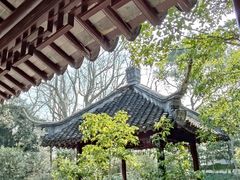 -上海醉白池公园