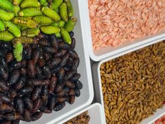 -映像威海·海鲜味道(经区店)