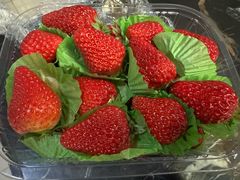 -达美乐比萨(肖家河店)