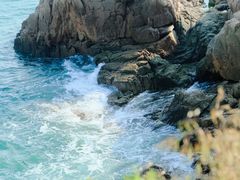-小麦岛公园