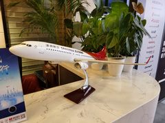 -桃仙机场头等舱休息室