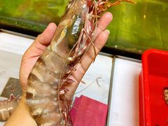 -ZF Seafood Restaurant 卓峰海鲜餐