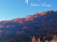 -北京西山国家森林公园