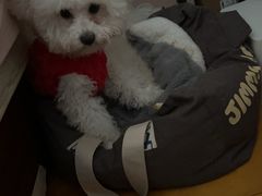 -爱侣·安琦尔宠物医院·中兽医针灸·心内科·狂犬免疫点(宝山区院)
