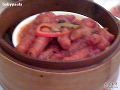 风爪-沙田轩(古北店)