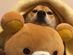 -西村叔叔的店(黄岛青医附院店)