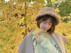 -三里屯东五街银杏大道