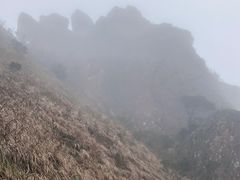 -七仙岭温泉国家森林公园