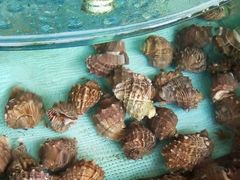 -沿海渔家院海鲜烧烤·东北菜(东戴河店)