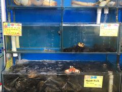 水产区-蚝专家(北滘店)