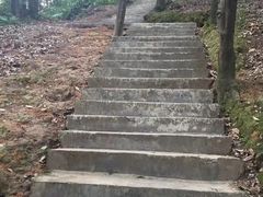 -广州市帽峰山景区