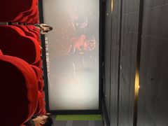 -奥斯卡国际影城(杜比全景声&4D激光店)