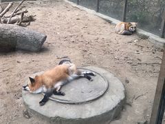 -无锡动物园·太湖欢乐园